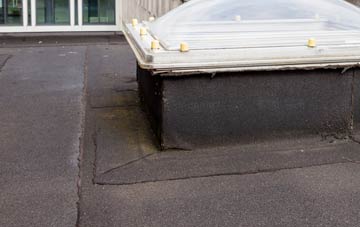 disadvantages of West Worlington flat roofs