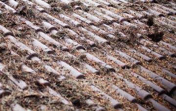 West Worlington roof cleaning companies